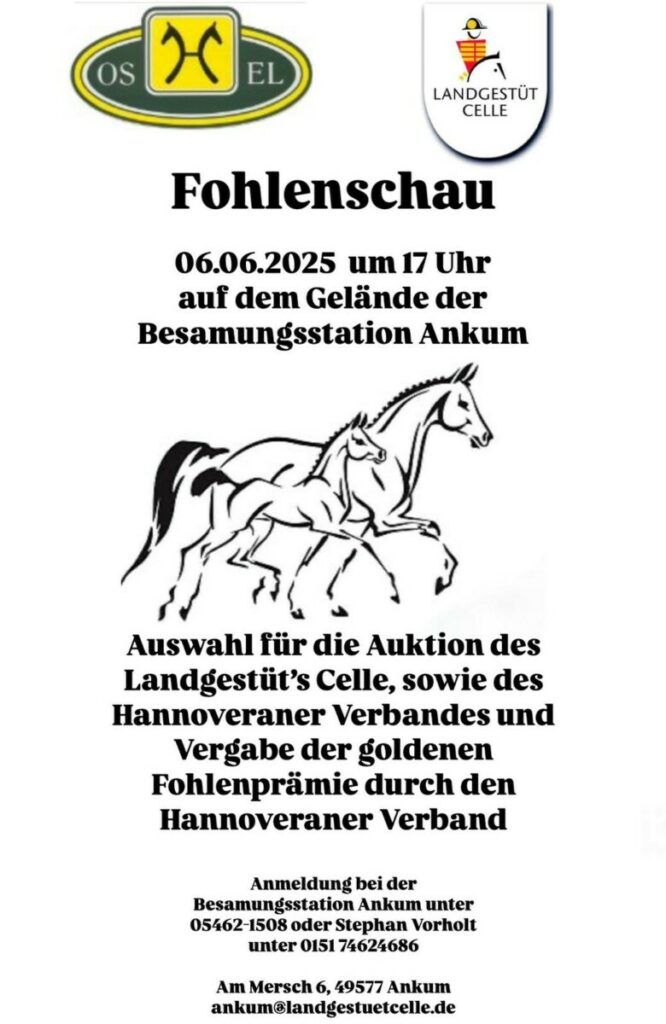 Fahrt nach Syke