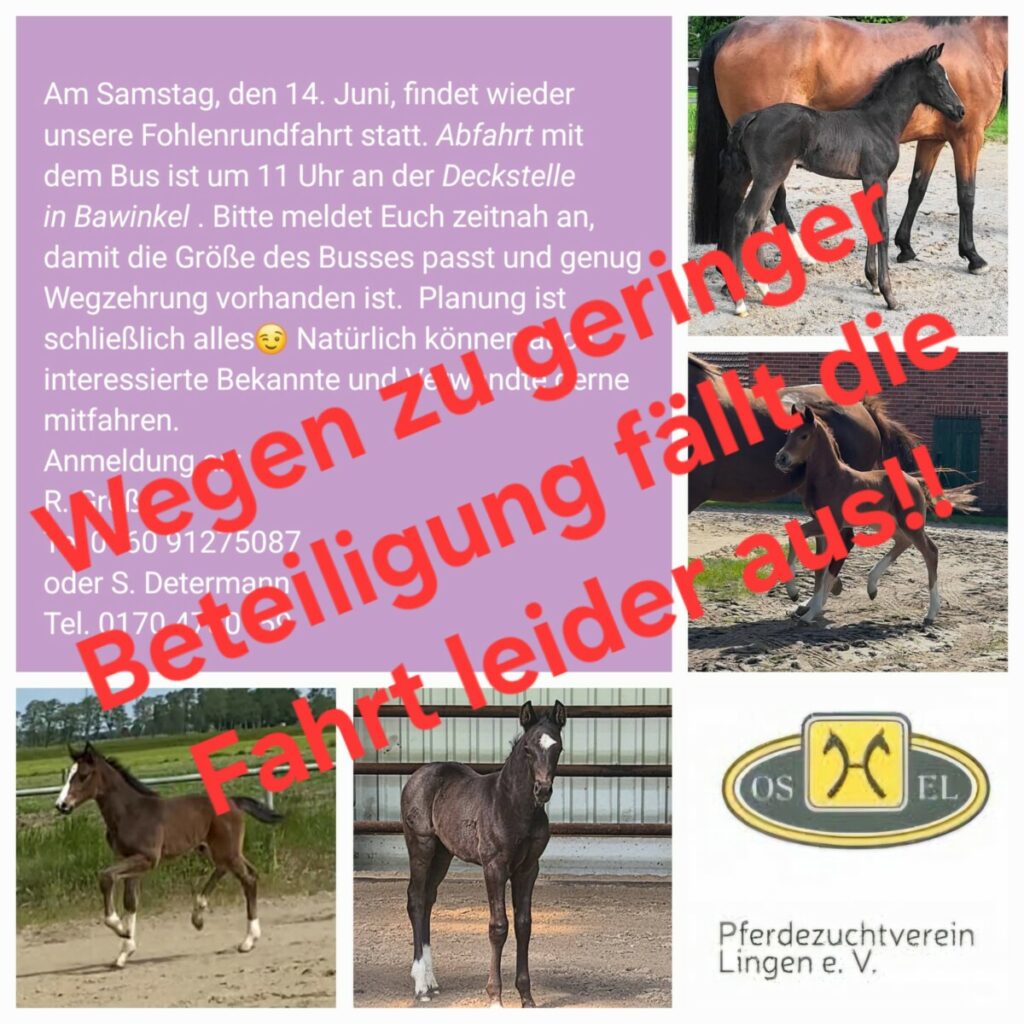 Fahrt nach Syke