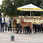 International hoch im Kurs