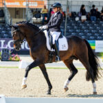 FEI WBFSH Weltmeisterschaft der jungen Dressurpferde