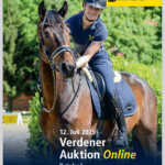 Verdener Auktion Online im Juli – Reitpferde