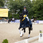 Hannoveraner Champions in Elmlohe gekürt