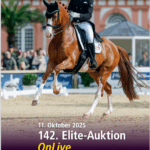 142. Verdener Elite-Auktion OnLive
