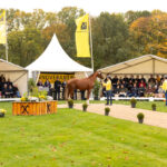 Dressur- und Springhengstkörung des Hannoveraner Verbandes