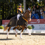 Hannoveraner Förderverein FRH