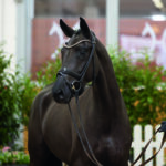 Verdener Auktion Online im Januar