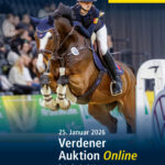 Verdener Auktion Online im Januar