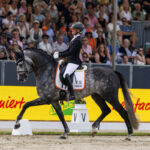 WM-Gold-Geschichten in Verden