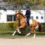 Sony setzt Glanzpunkt