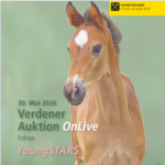 Verdener Auktion OnLive YoungSTARS