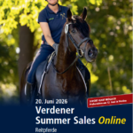 Verdener Summer Sales