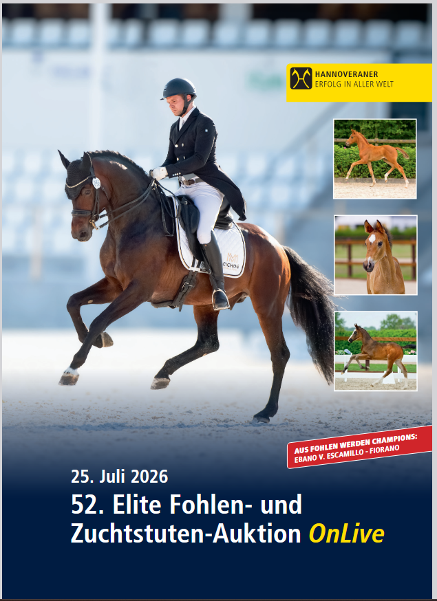 Fahrt nach Syke