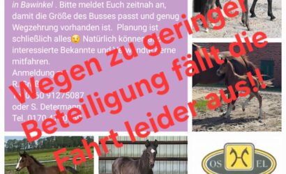 Absage Fohlenrundfahrt