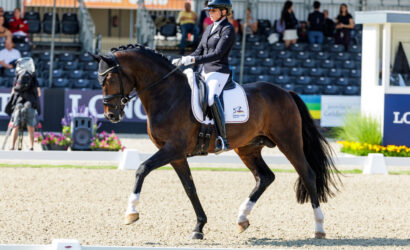 FEI WBFSH Weltmeisterschaft der jungen Dressurpferde