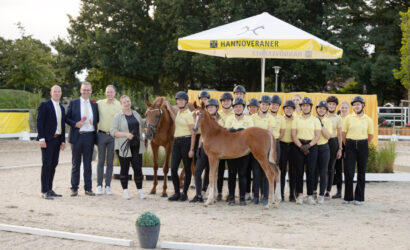 International hoch im Kurs