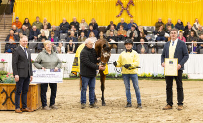 Hannoveraner Stute des Jahres 2025