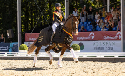 Hannoveraner Förderverein FRH