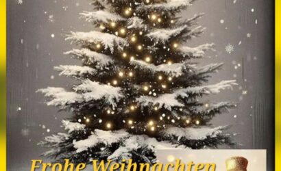 Ein frohes, besinnliches Weihnachtsfest und einen guten Rutsch  in ein glückliches, friedvolles neues Jahr.