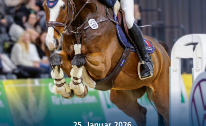 Verdener Auktion Online im Januar