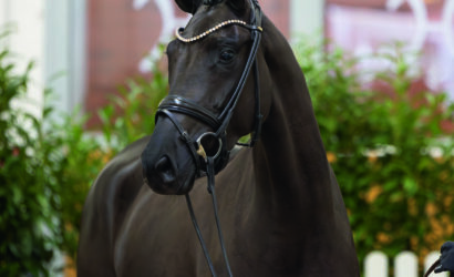 Verdener Auktion Online im Januar