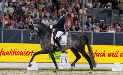 WM-Gold-Geschichten in Verden