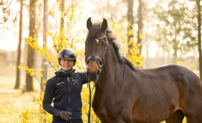 Verdener Auktion Frühjahrsedition OnLive