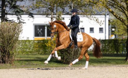 Sony setzt Glanzpunkt