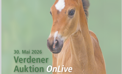 Verdener Auktion OnLive YoungSTARS