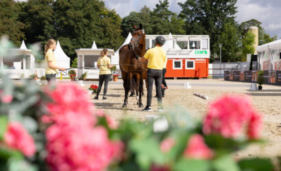 Hannovers junge Stuten im Rampenlicht